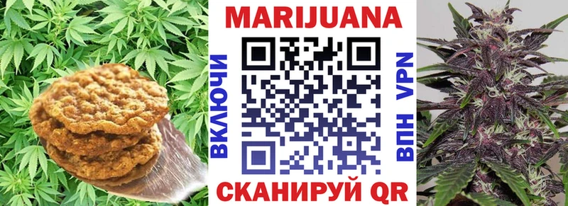 Canna-Cookies марихуана  Реутов 