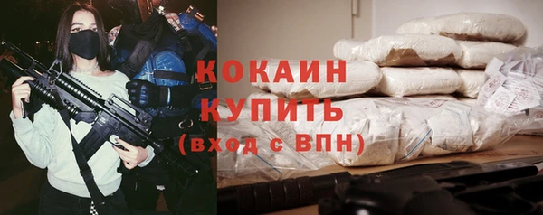метадон Богданович