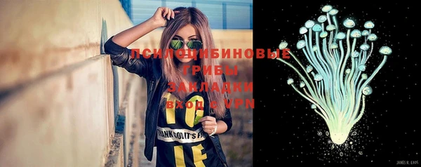 метадон Богданович