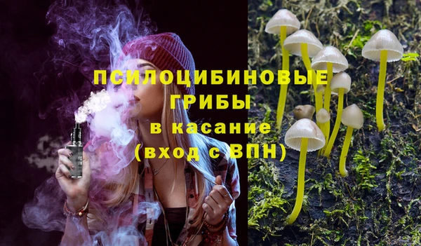 гидропоника Богородск