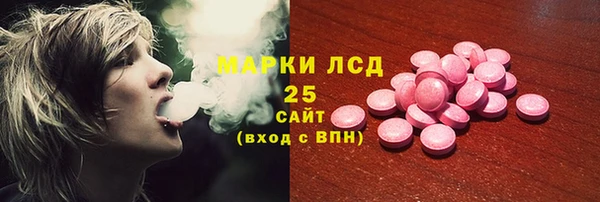 метадон Богданович
