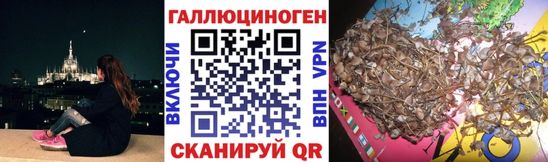 MEGA онион  купить наркоту  Реутов  Псилоцибиновые грибы Cubensis 